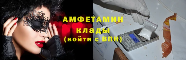 хмурый Новозыбков