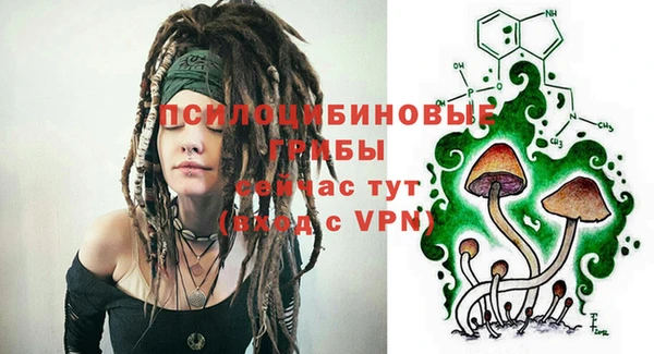 хмурый Новозыбков