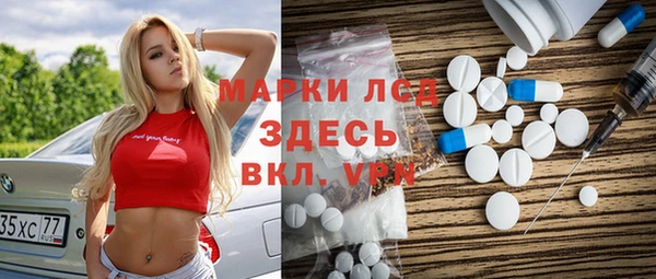 хмурый Новозыбков