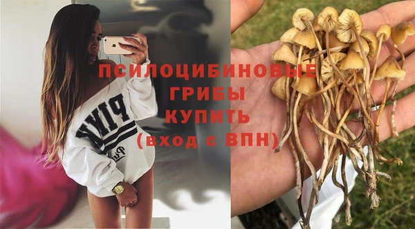 прущая мука Новокубанск