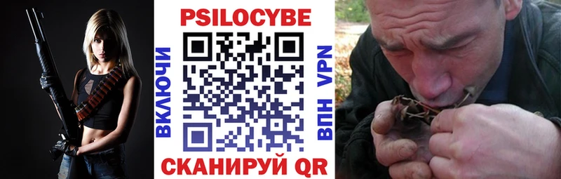 Галлюциногенные грибы Psilocybine cubensis  Мурино 